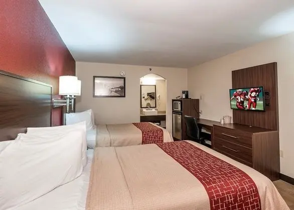 Deluxe Oda, 2 Çift Kişilik Yatak, Sigara İçilmez