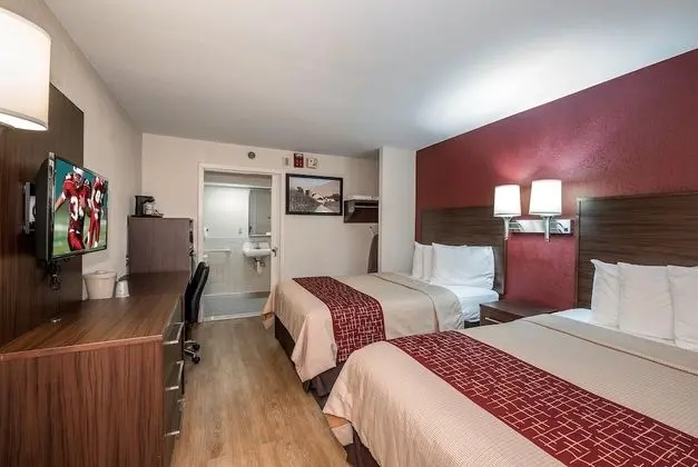 Deluxe Oda, 2 Çift Kişilik Yatak, Sigara İçilmez