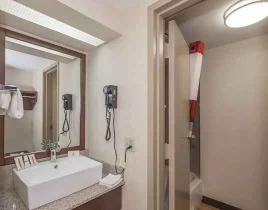 Deluxe Oda, 2 Çift Kişilik Yatak, Sigara İçilmez