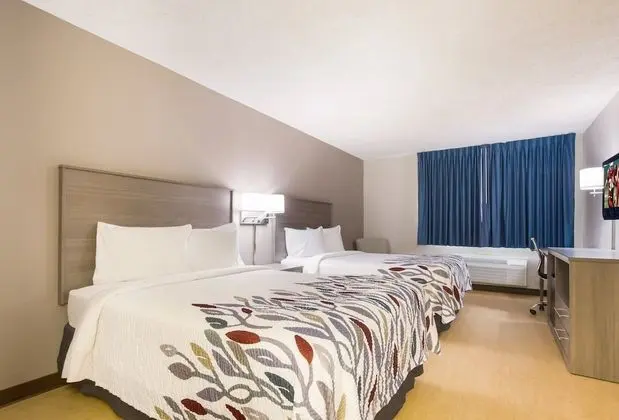 Deluxe Oda, 2 Çift Kişilik Yatak, Sigara İçilmez