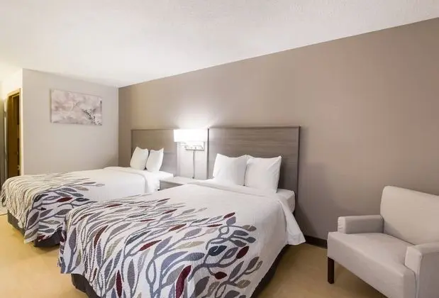 Deluxe Oda, 2 Çift Kişilik Yatak, Sigara İçilmez