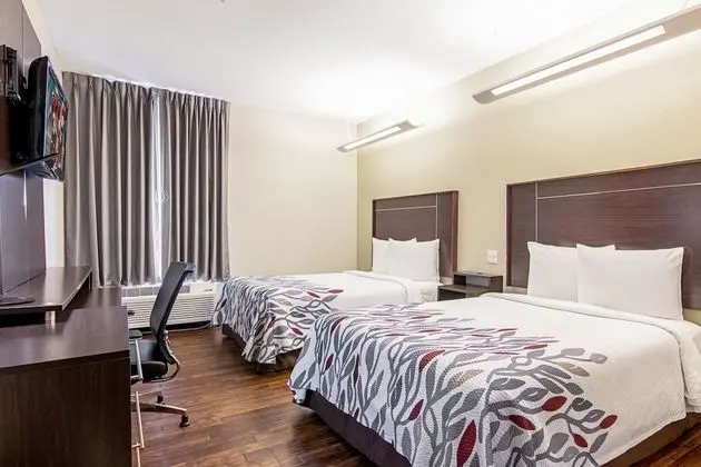 Deluxe Oda, 2 Çift Kişilik Yatak, Engellilere Uygun (Smoke Free)