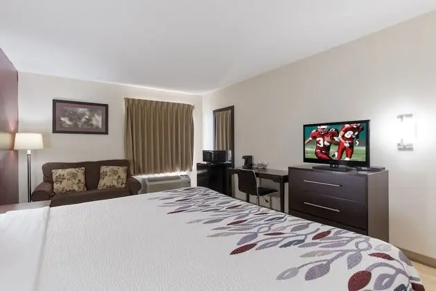 Deluxe Oda, 1 En Büyük (King) Boy Yatak, Sigara İçilmez (Sofa)