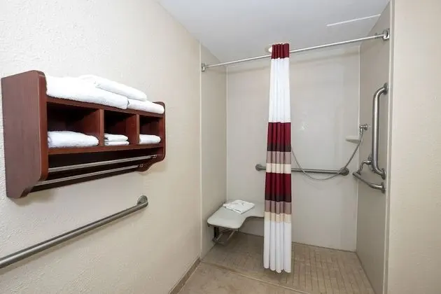 Deluxe Oda, 1 Çift Kişilik Yatak, Sigara İçilmez (Roll-In Shower, Smoke Free)