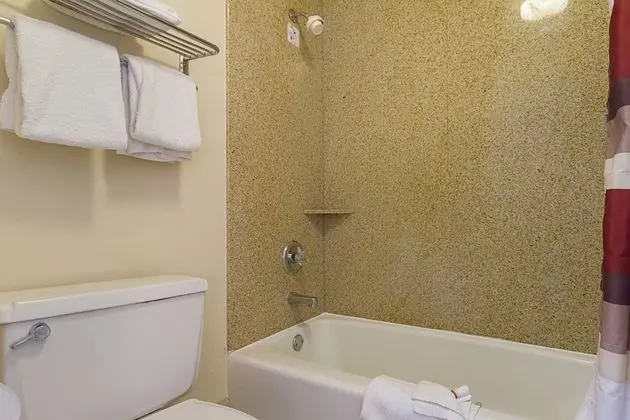 Deluxe Oda, 2 Çift Kişilik Yatak, Sigara İçilmez