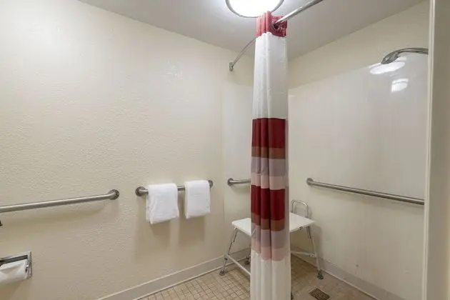 Deluxe Oda, 1 En Büyük (King) Boy Yatak, Engellilere Uygun (Roll-In Shower, Smoke Free)