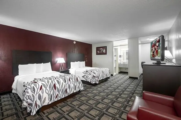 Deluxe Oda, 2 Çift Kişilik Yatak, Sigara İçilebilir