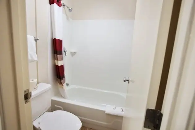 Premium Oda, 2 Çift Kişilik Yatak (Upgraded Bedding & Snack, Smoke Free)