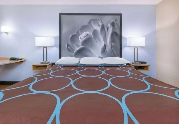 Oda, 1 En Büyük (King) Boy Yatak, Engellilere Uygun, Sigara İçilmez (Mobility, Roll-In Shower)