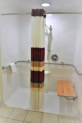 Oda, 1 En Büyük (King) Boy Yatak, Engellilere Uygun, Sigara İçilmez (Mobility, Roll-In Shower)