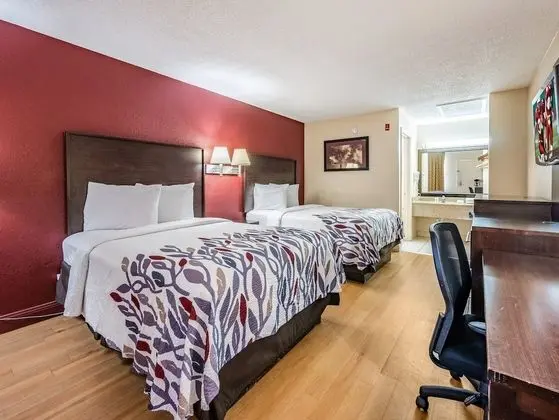 Deluxe Oda, 2 Çift Kişilik Yatak, Sigara İçilebilir