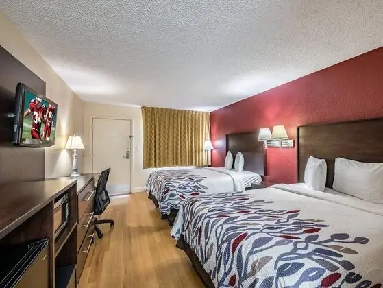 Deluxe Oda, 2 Çift Kişilik Yatak, Sigara İçilmez
