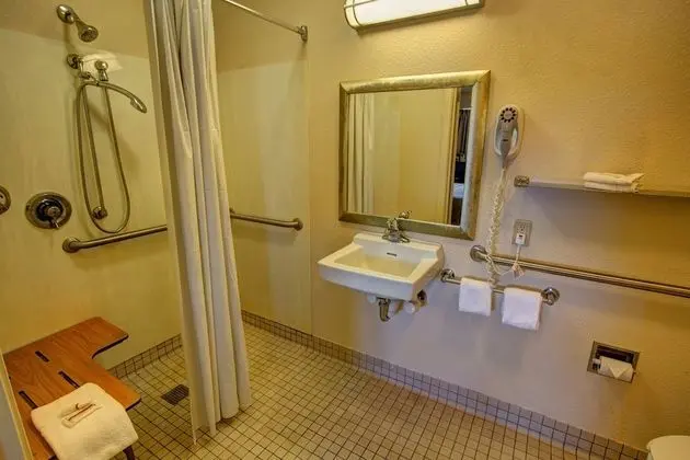 Superior Oda, 1 En Büyük (King) Boy Yatak, Engellilere Uygun (Roll-In Shower, Smoke Free)