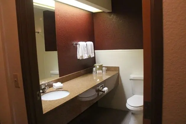Business Oda, 1 En Büyük (King) Boy Yatak, Engellilere Uygun, Sigara İçilmez (Roll-In Shower)