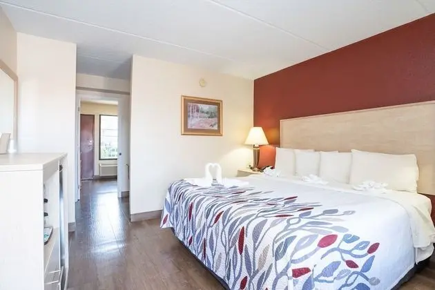 Süit, Birden Çok Yatak, Sigara İçilmez (First Floor, 1 pet allowed)