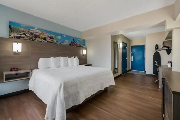 Premium Oda, 1 En Büyük (King) Boy Yatak, Kısmi Deniz Manzarası (Roll-In-Shower, Smoke Free)