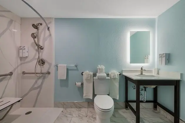 Premium Oda, 1 En Büyük (King) Boy Yatak, Kısmi Deniz Manzarası (Roll-In-Shower, Smoke Free)