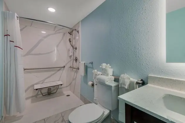 Premium Oda, 1 En Büyük (King) Boy Yatak, Kısmi Deniz Manzarası (Roll-In-Shower, Smoke Free)