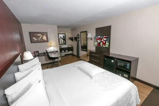 Premium Oda, 1 En Büyük (King) Boy Yatak, Engellilere Uygun (Upgraded Bedding & Snack, Smoke Free)