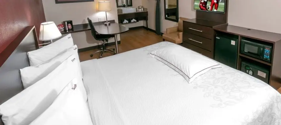 Premium Oda, 1 En Büyük (King) Boy Yatak, Engellilere Uygun (Upgraded Bedding & Snack, Smoke Free)