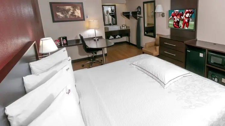 Premium Oda, 1 En Büyük (King) Boy Yatak, Engellilere Uygun (Upgraded Bedding & Snack, Smoke Free)