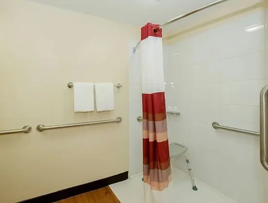 Standard Oda, 1 En Büyük (King) Boy Yatak, Engellilere Uygun (Roll-In Shower, Smoke Free)