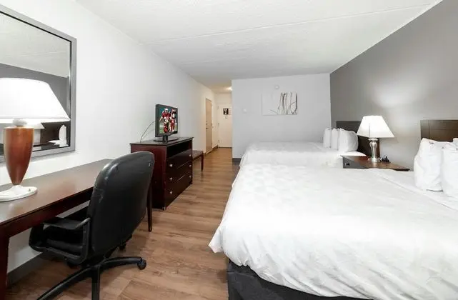 Deluxe Oda, 2 Çift Kişilik Yatak (Smoke Free, Roll-In Shower)