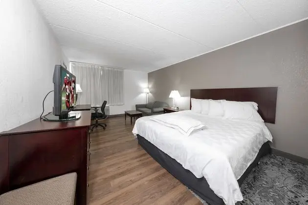 Premium Oda, 1 En Büyük (King) Boy Yatak ve Çekyat (Upgraded Bedding & Snack, Smoke Free)