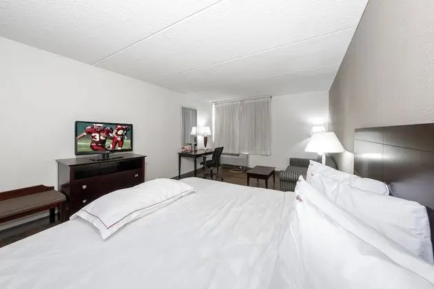 Premium Oda, 1 En Büyük (King) Boy Yatak ve Çekyat (Upgraded Bedding & Snack, Smoke Free)