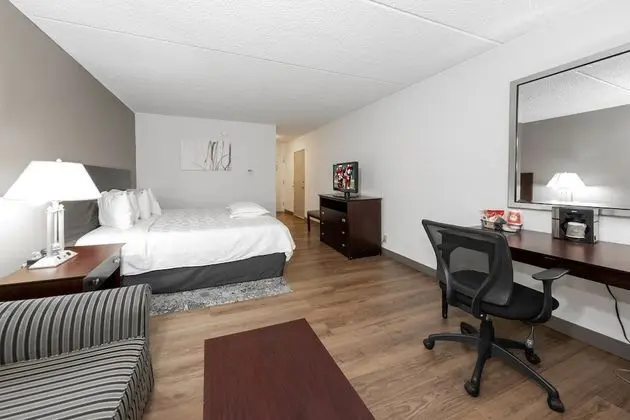 Premium Oda, 1 En Büyük (King) Boy Yatak ve Çekyat (Upgraded Bedding & Snack, Smoke Free)