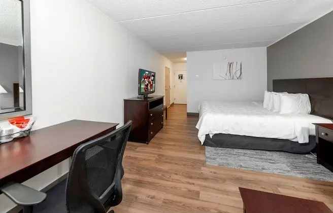 Premium Oda, 1 En Büyük (King) Boy Yatak ve Çekyat (Upgraded Bedding & Snack, Smoke Free)