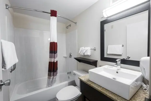 Deluxe Oda, 2 Çift Kişilik Yatak (Smoke Free)