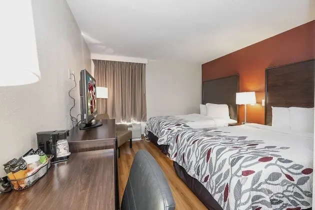 Deluxe Oda, 2 Çift Kişilik Yatak, Engellilere Uygun, Sigara İçilmez