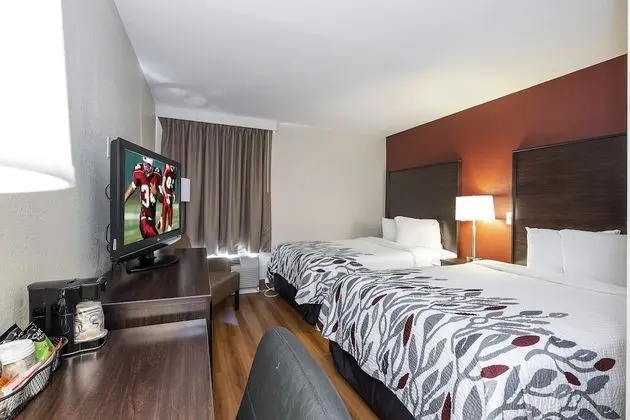 Deluxe Oda, 2 Çift Kişilik Yatak, Engellilere Uygun, Sigara İçilmez