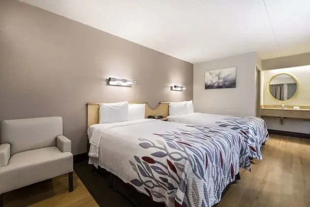Deluxe Oda, 2 Çift Kişilik Yatak (Smoke Free)