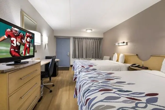 Deluxe Oda, 2 Çift Kişilik Yatak (Smoke Free)
