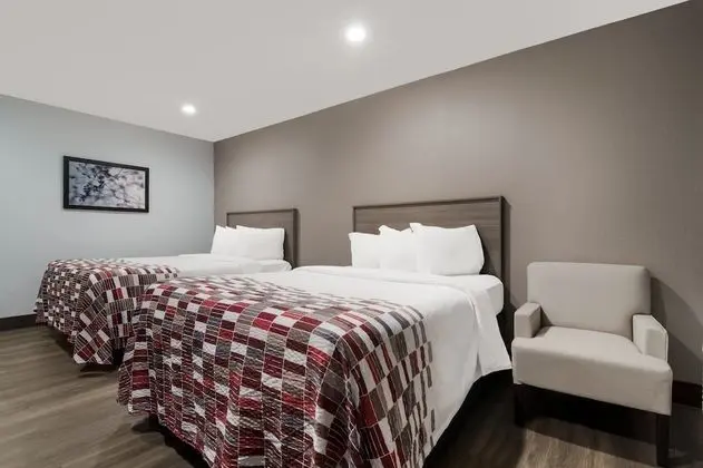 Deluxe Oda, 2 Çift Kişilik Yatak, Sigara İçilmez