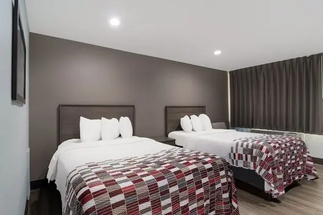 Deluxe Oda, 2 Çift Kişilik Yatak, Sigara İçilmez