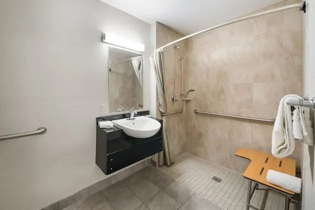 Deluxe Oda, 1 En Büyük (King) Boy Yatak, Engellilere Uygun, Sigara İçilmez (Roll-In Shower)