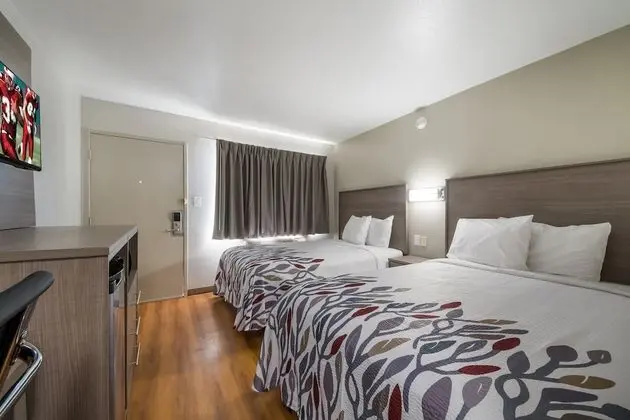 Deluxe Oda, 2 Çift Kişilik Yatak, Sigara İçilmez