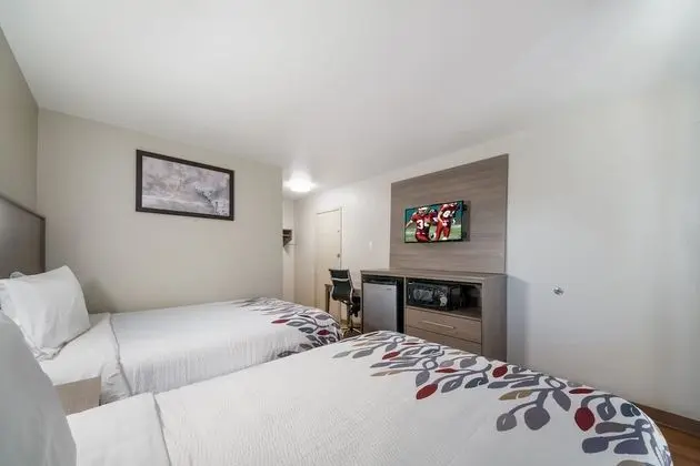 Deluxe Oda, 2 Çift Kişilik Yatak, Sigara İçilmez