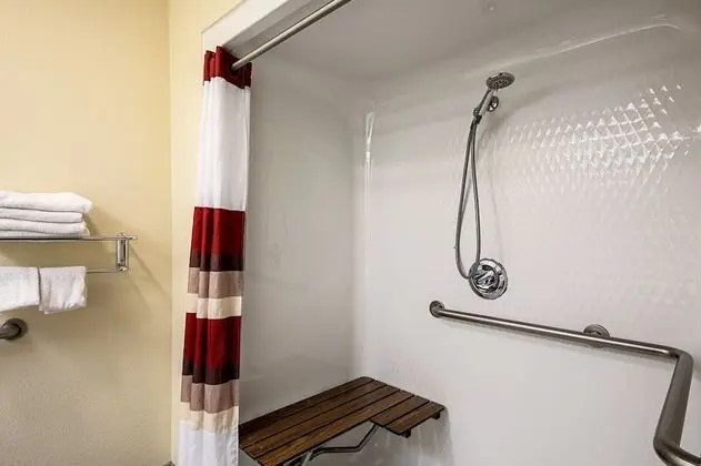 Deluxe Oda, 2 Büyük (Queen) Boy Yatak, Engellilere Uygun, Sigara İçilmez (Roll-In Shower)