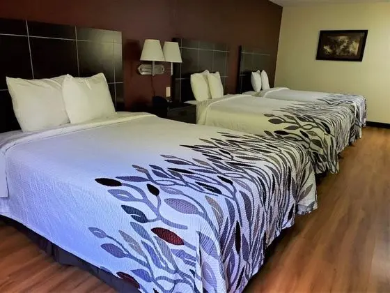 Deluxe Oda, Sigara İçilmez (3 Queen Beds)