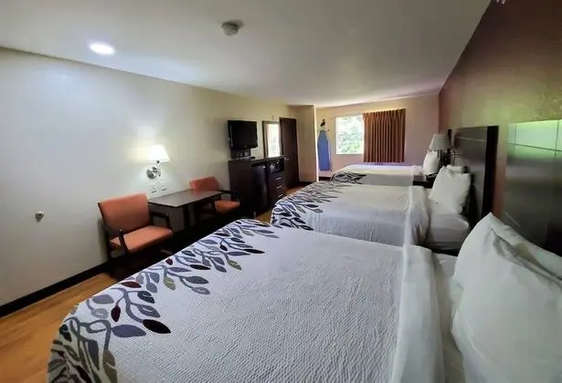 Deluxe Oda, Sigara İçilmez (3 Queen Beds)
