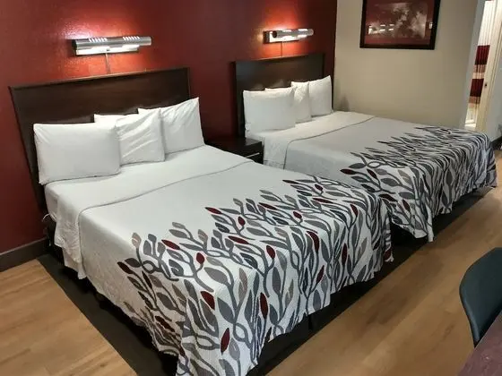 Deluxe Oda, 2 Çift Kişilik Yatak, Engellilere Uygun, Sigara İçilmez