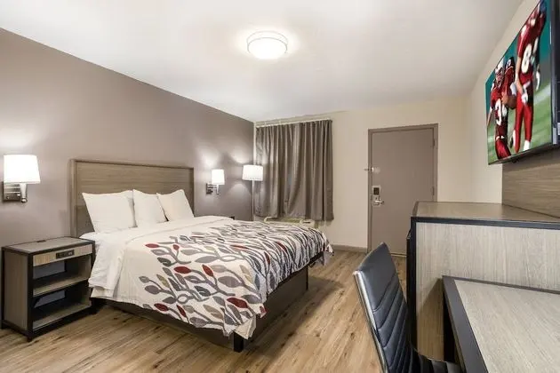 Superior Oda, 1 Büyük (Queen) Boy Yatak (Smoke Free)