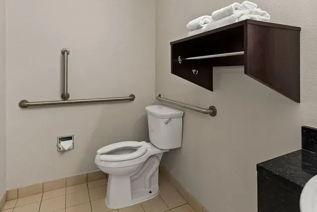 Superior Oda, 1 En Büyük (King) Boy Yatak, Engellilere Uygun, Sigara İçilmez (Roll-In Shower)