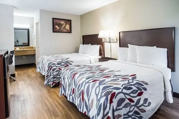 Deluxe Oda, 2 Çift Kişilik Yatak (Smoke Free)