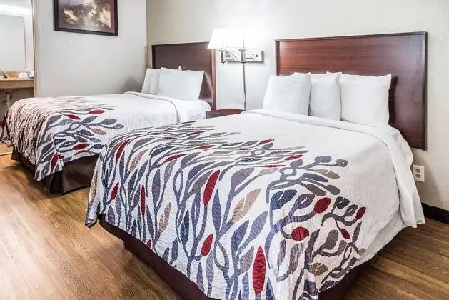 Deluxe Oda, 2 Çift Kişilik Yatak (Smoke Free)