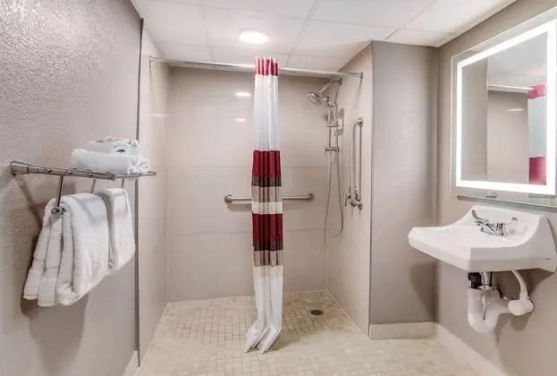 Superior Oda, 1 En Büyük (King) Boy Yatak, Engellilere Uygun, Sigara İçilmez (Roll-In Shower)
